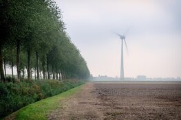 Extra geld beschikbaar voor agrarisch natuurbeheer in Zuid-Holland