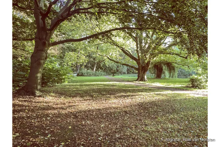 Happy Herfstwandeling én Dobbeloop op zondag 26 oktober