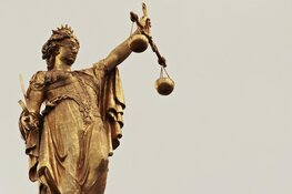 Afwijzing verzoek opleggen stikstofmaatregelen aan gemeentebestuur Den Haag onvoldoende onderbouwd