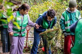 Meer groen, meer groei: Haagse kinderen versterken plein en zichzelf