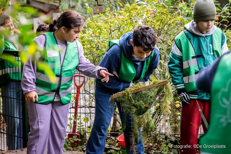 Meer groen, meer groei: Haagse kinderen versterken plein en zichzelf