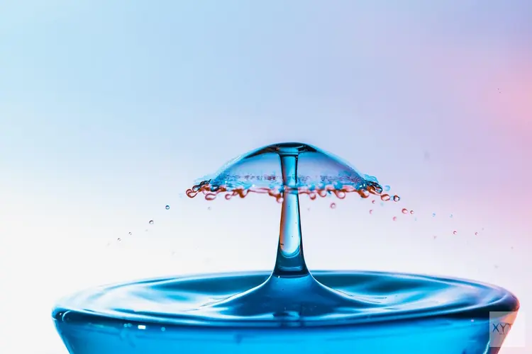 Geef je hydratatie een persoonlijk tintje met een waterfles met naam