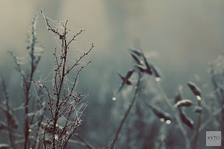 Wisselvallig weer tijdens laatste dagen van het jaar