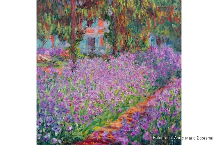 Cursus kunstgeschiedenis over licht en kleur