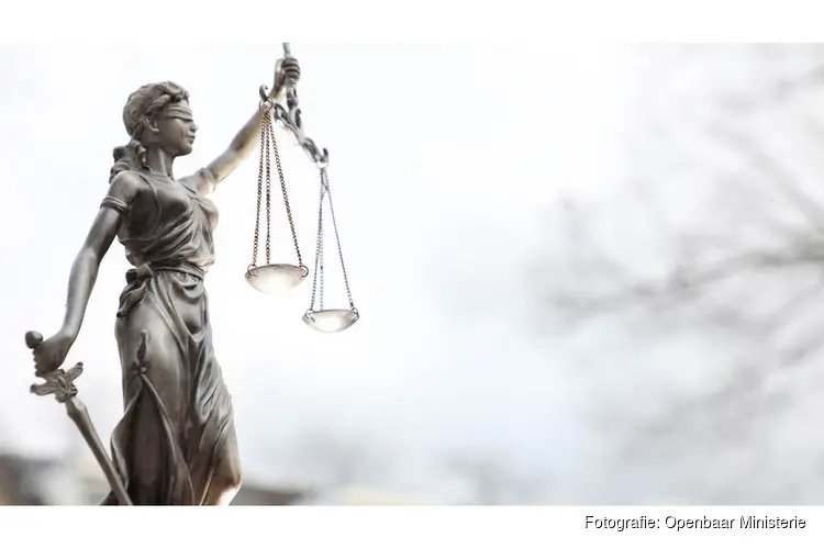 Nieuwe verdachten Malieveldrellen aangehouden en voor de rechter