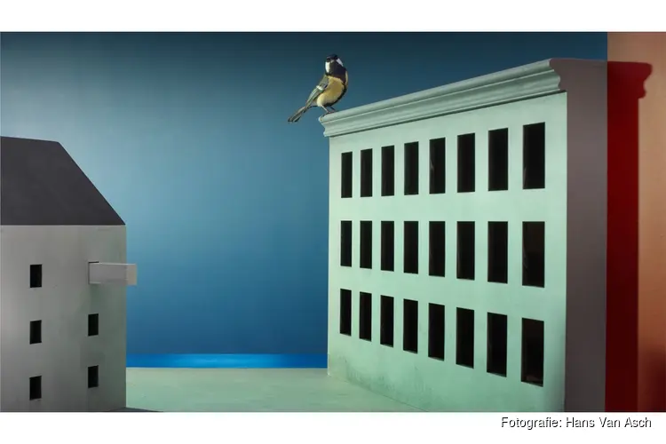 Modern Birds;  Een openlucht tentoonstelling in het Museumkwartier