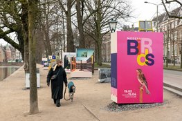 Modern Birds:  Vogelkunst vliegt de stad in met een openluchttentoonstelling in het Museumkwartier in Den Haag