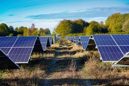 Word Energieboswachter en help de natuur in de energietransitie!