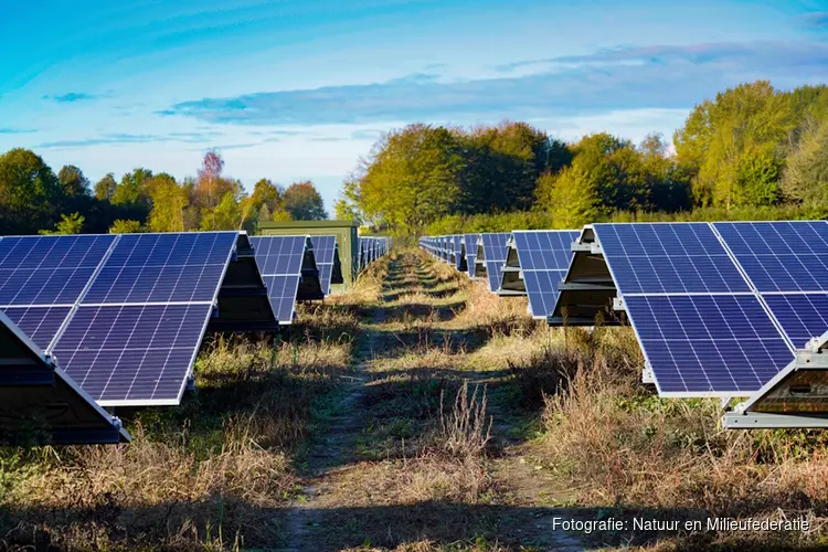 Word Energieboswachter en help de natuur in de energietransitie!