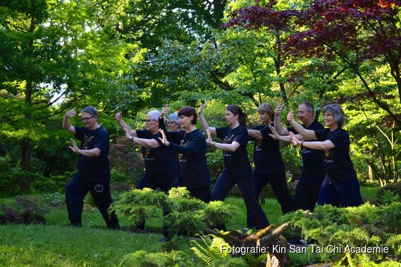 Tai Chi in Den Haag en Leiden; Ontdek de kracht van zachte bewegingen.