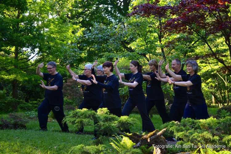 Tai Chi in Den Haag en Leiden; Ontdek de kracht van zachte bewegingen.