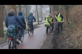 Ruim 8.600 amfibieën veilig overgezet tijdens paddentrek in Den Haag