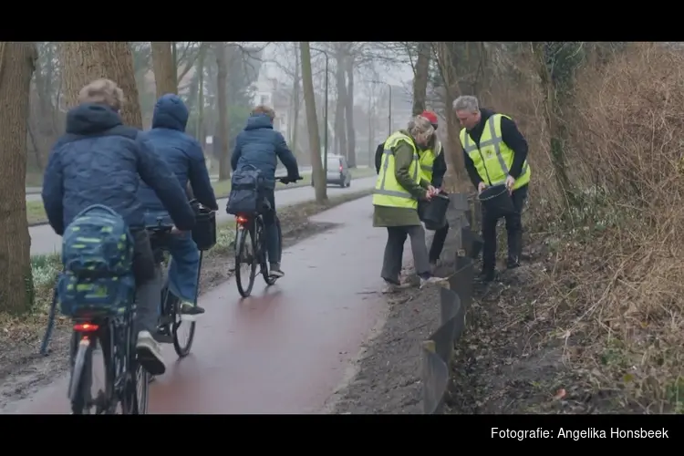 Ruim 8.600 amfibieën veilig overgezet tijdens paddentrek in Den Haag