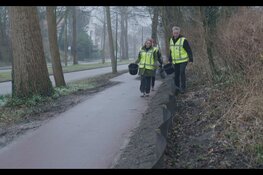 Ruim 8.600 amfibieën veilig overgezet tijdens paddentrek in Den Haag