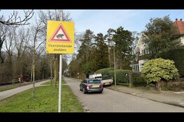 Ruim 8.600 amfibieën veilig overgezet tijdens paddentrek in Den Haag