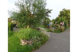 Amateurtuindersvereniging Zonnegaarde, Erasmusweg 872 in Den Haag doet mee aan de open eco-tuindag van Velt