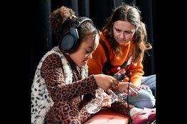 Festival de Bruiserij 2026: kunstfestival voor iedereen, met en zonder beperking