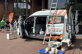 Ontdek het werk van de Dierenambulance en het Dierenhospitaal tijdens de Open Rondleidingendag