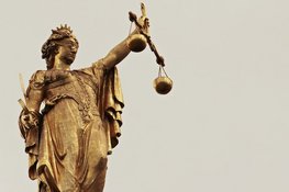 Drie nieuwe veroordelingen na hevige ongeregeldheden rond demonstratie Malieveld