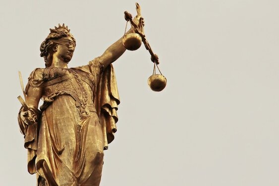Drie nieuwe veroordelingen na hevige ongeregeldheden rond demonstratie Malieveld