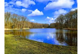 Omgevingsbeleid 2025: Provincie Zuid-Holland maakt scherpe keuzes voor de toekomst