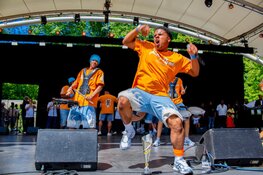 Haagse Brassbands bundelen hun krachten met Brass in the Park