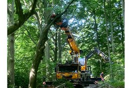 Boswerk Haagse Bos gaat van start