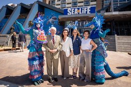 SEA LIFE Scheveningen heropent na grootschalige renovatie