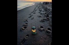 Parnassia Groep organiseert Haagse editie van landelijke Walk into the Light op Wereld Suïcide Preventie Dag