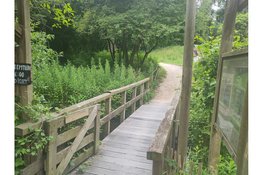 AVN viert 100 jaar natuur met feestelijk familiefestival op zaterdag 5 september