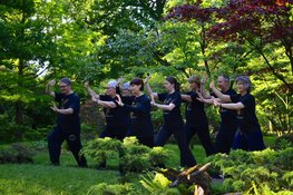Ontdek de kracht van zachte bewegingen bij Kin San Tai Chi Academie