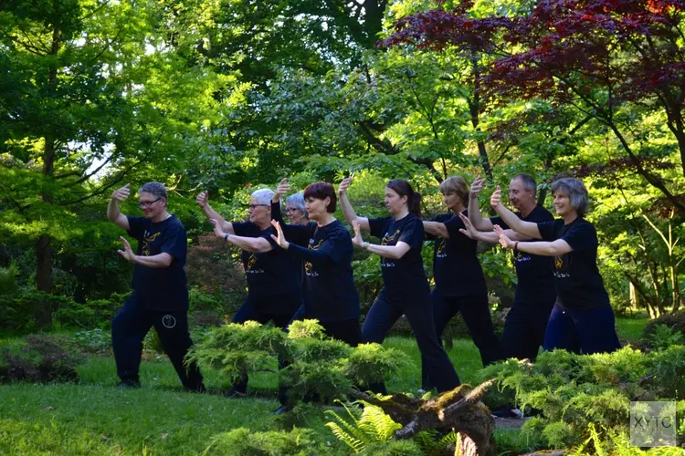 Ontdek de kracht van zachte bewegingen bij Kin San Tai Chi Academie