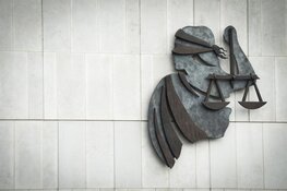 Tbs geëist voor man die zijn moeder doodde