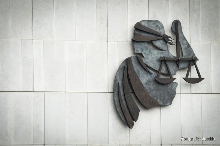 Verdachte voorgeleid voor aanrandingen en mishandelingen Delftse Hout