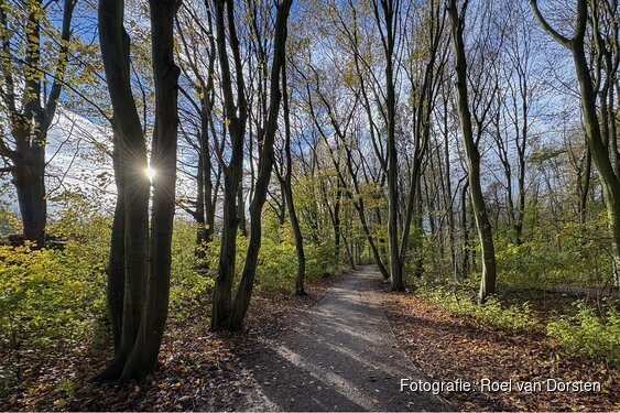 Herfstwandeling én Dobbeloop op zondag 25 oktober