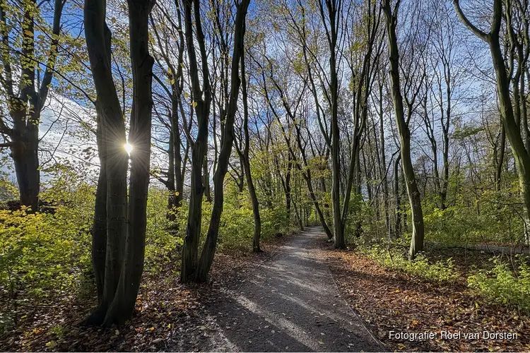 Herfstwandeling én Dobbeloop op zondag 25 oktober